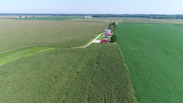 Aerial View Flying Over Corn and Soybean Fields and Farms Smyrna Delaware