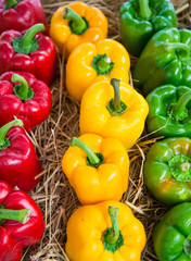 Bell pepper in market .