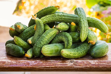 Fresh cucumber on the wooden table