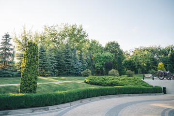 beautiful landscape of the park