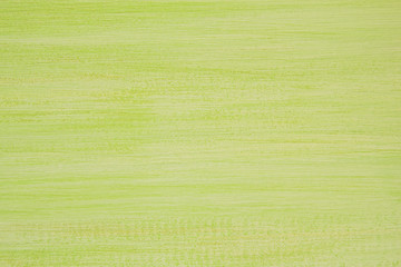 The painted green and white wooden textured background.