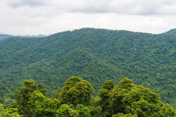 Fototapeta premium Nature mountain green in Thailand Nature background.. 