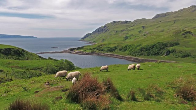 Aerial view of the bay called Camas nan Geall