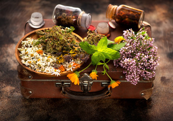 Healing Medical herbs and flowers