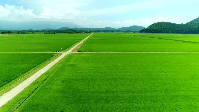 田園風景空撮