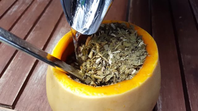 Yerba Mate Inside a Pumpkin Goar