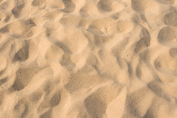Sand beach texture and background.