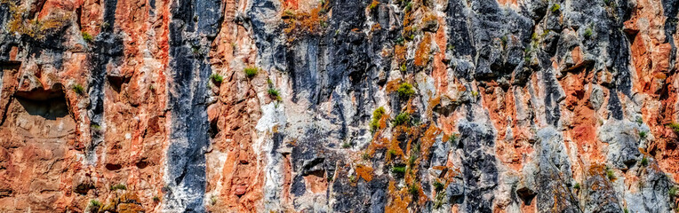 Red cliff wall with clusters of greenery.