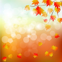 Naklejka na ściany i meble Vector background with red, orange, brown and yellow autumn leaves.