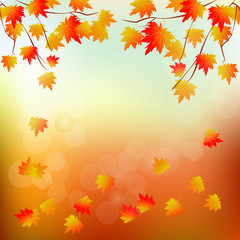 Naklejka na ściany i meble Vector background with red, orange, brown and yellow autumn leaves.