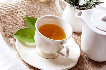 Close up organic tea in white cup with green leaf , Tea ceremony time concept