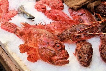 marché poisson saint tropez