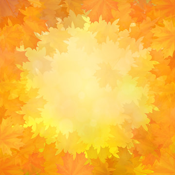 Autumn background with a frame of fallen maple leaves in a circle.
