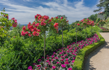 Beautifully landscaped paths on the slope, with flower beds and roses