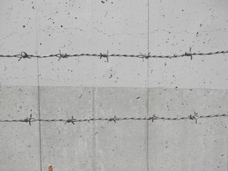 Fototapeta premium コンクリート壁の前にある２本の有刺鉄線