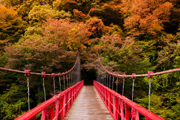 Red bridge, Kami No Iwahashi in Dakigaeri Valley - Senboku, Akita, Japan