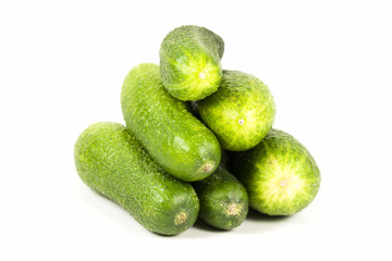 fresh organic pickling cucumbers isolated on white background