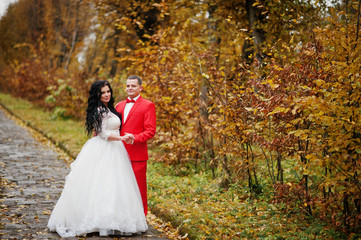 Lovely wedding couple posing in the park on a foggy and rainy autumn day.