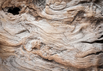  Old wood texture background. Weathered wooden plank with grungy surface, cracks and knot hole.