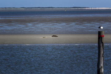 Nordsee, Nordseeinseln, Bensersiel, Carolinensiel, Neuharlingersiel