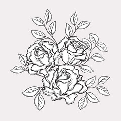 Black and white rose flowers and leaves. Hand drawn vector illustration. Floral design elements
