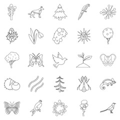 Fototapeta premium Nature icons set, outline style