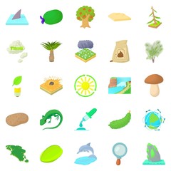 Isle icons set, cartoon style