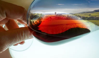 Fotobehang samenstelling wijnstokken in glas wijn © Eléonore H