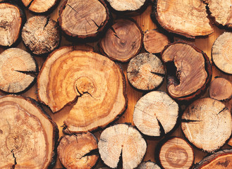 Wooden natural cut logs textured background, top view, flat lay photo