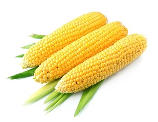 An ear of corn isolated.