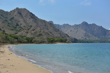 Beautiful komodo island inside of national park in indonesia, home of the komodo dragon, unique ecosystem and great adventure, nature habitat, travel and enjoy asia 