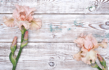 Pink iris flowers on wooden table. Top view, copy space.