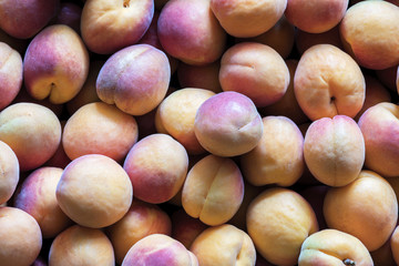 A pile of apricots