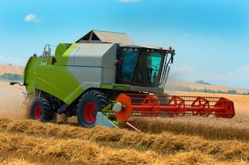 Harvester machine to harvest wheat field working. Agriculture