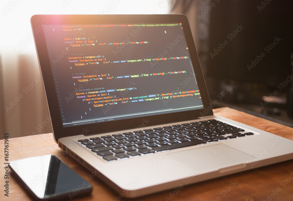 Wall mural computer code on laptop (web developing)