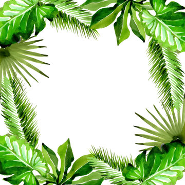 Tropical Hawaii leaves palm tree frame in a vector style. Aquarelle wild flower for background, texture, wrapper pattern, frame or border.