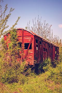 Vintage wooden railway wagon derelict captured by vegetation.