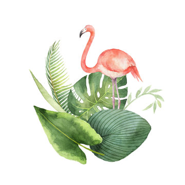 Watercolor card of tropical leaves and the pink Flamingo isolated on white background.