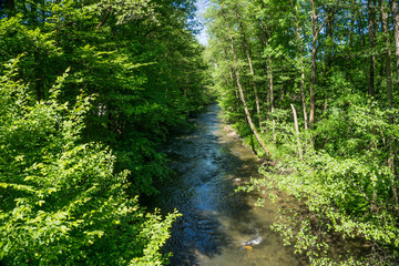 Die Fluss Schwarza in Thüringen