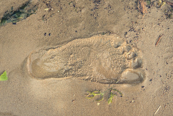 Footprint on the beach