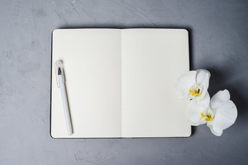 Open notebook with clean pages, pen and orchid flower on a gray concrete background. View from above. A minimalistic workplace.