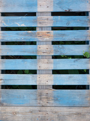 Vegetation behind Light Blue Wood Pallet