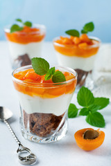 Dessert  Chocolate biscuit, vanilla cream cheese and apricot jam in a glass bowl on a light background. Selective focus.