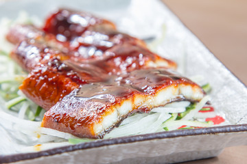 eel cuisine