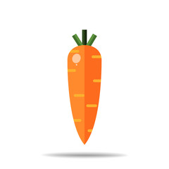 carrot fruit vector