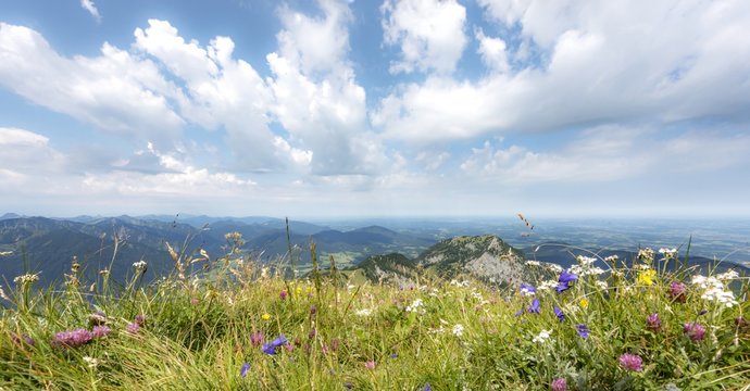 Wilde Kr&auml;uter auf einem Bergmassiv mit Wolken 
