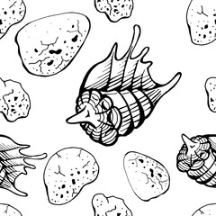 Seamless pattern of hand drawn vector seashells and stones on white background. Cover, print design.