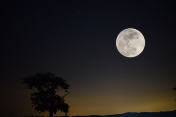 Fototapeta na wymiar Luna llena en noche estrellada azulada