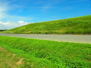夏の江戸川河川敷風景