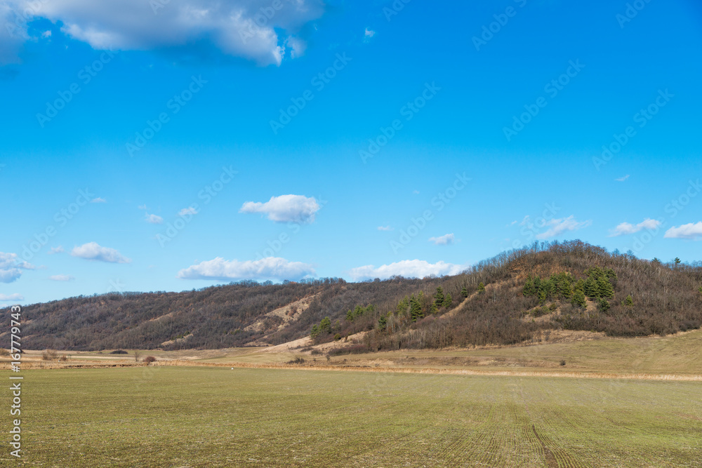 Canvas Prints field